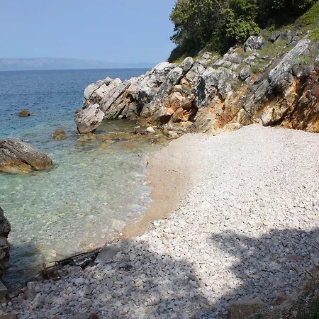 Kozarica 4950d